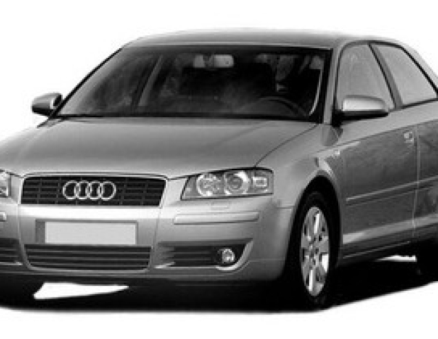 Autószőnyegek Audi A3 8P (2005-2008)