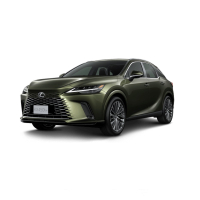 Autószőnyegek Lexus RX 450h+ (2022-…)