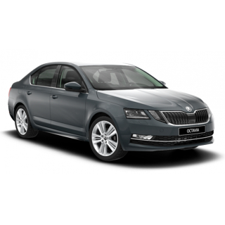 Autószőnyegek Skoda Octavia A7 (2017-2019)
